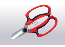 Scissors